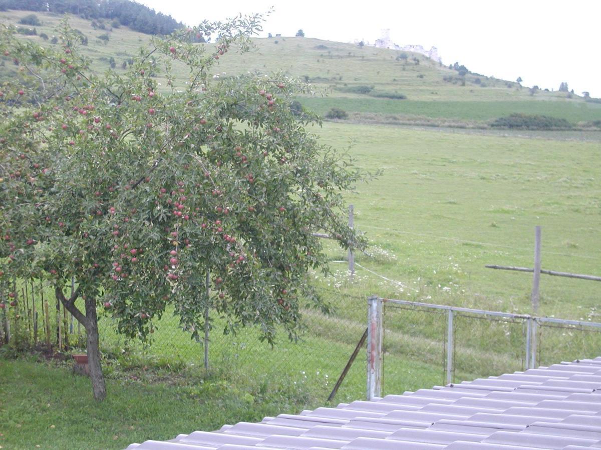 Spišské Podhradie Penzion Drevenik酒店 外观 照片