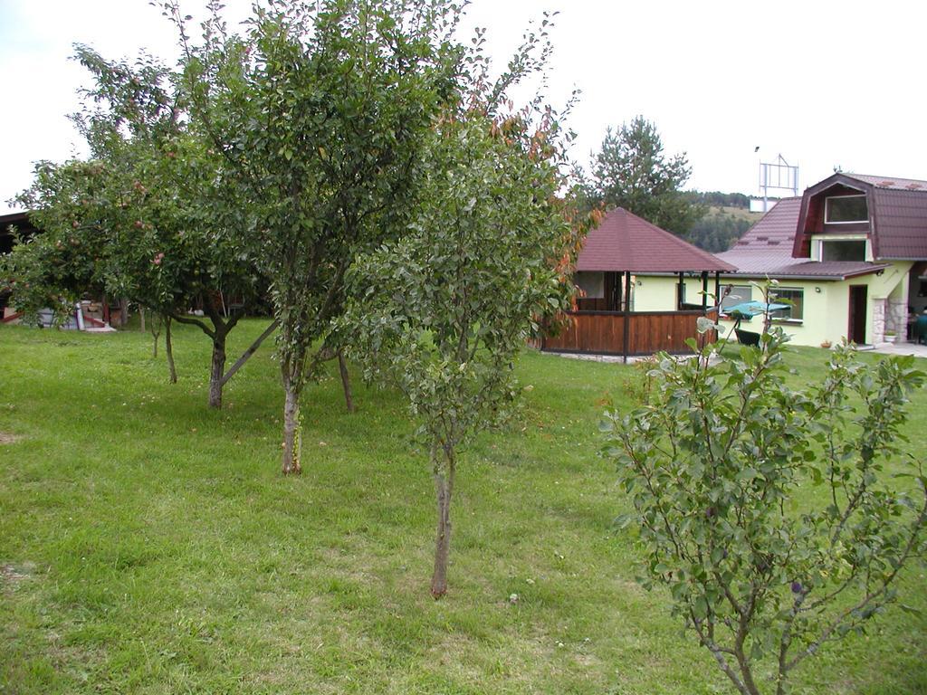 Spišské Podhradie Penzion Drevenik酒店 外观 照片
